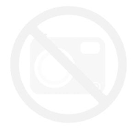 Sony HXR-NX5E